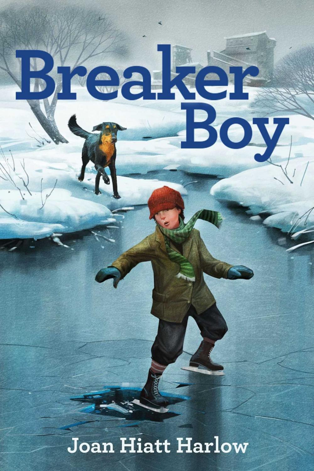 Big bigCover of Breaker Boy