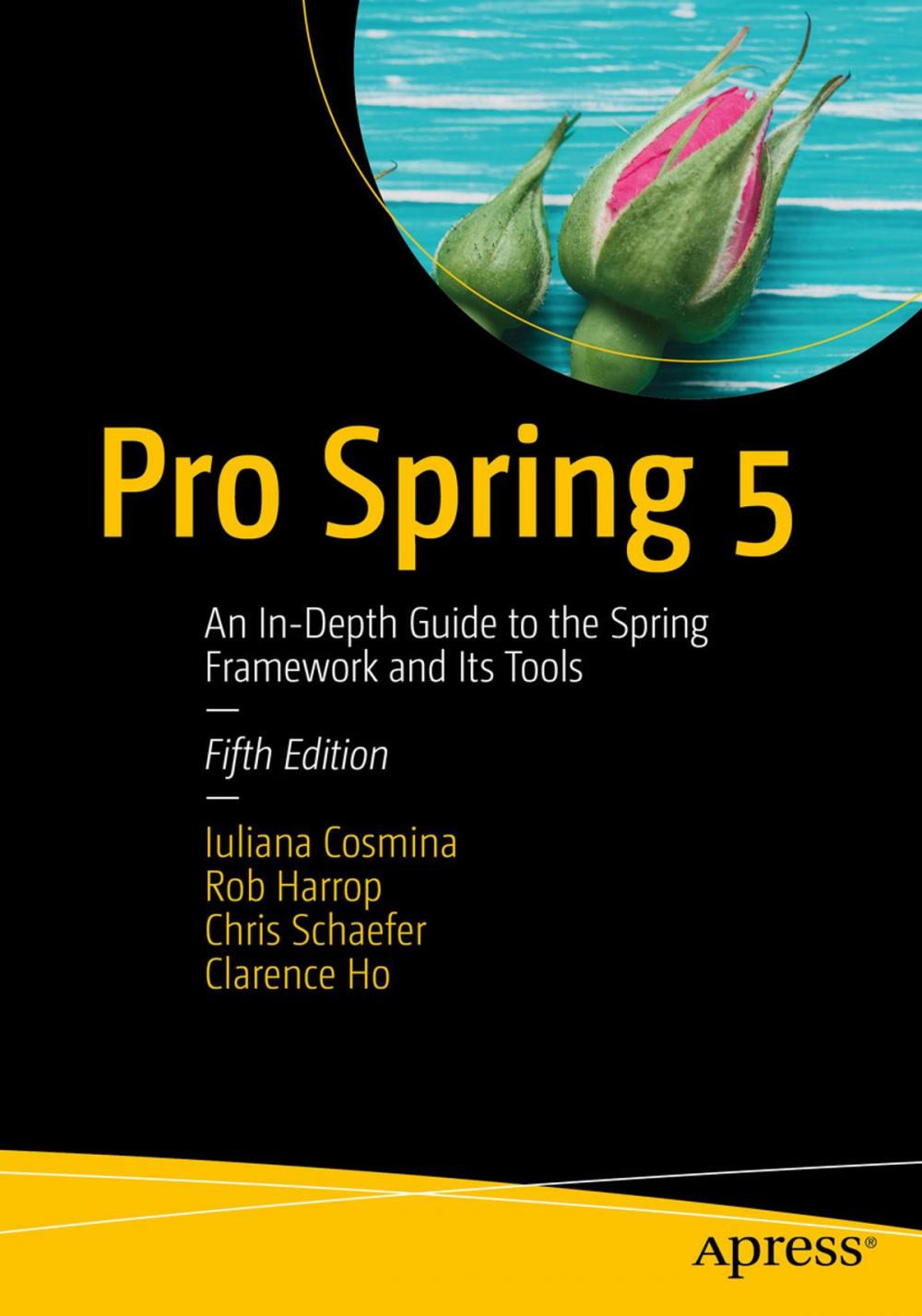 Big bigCover of Pro Spring 5