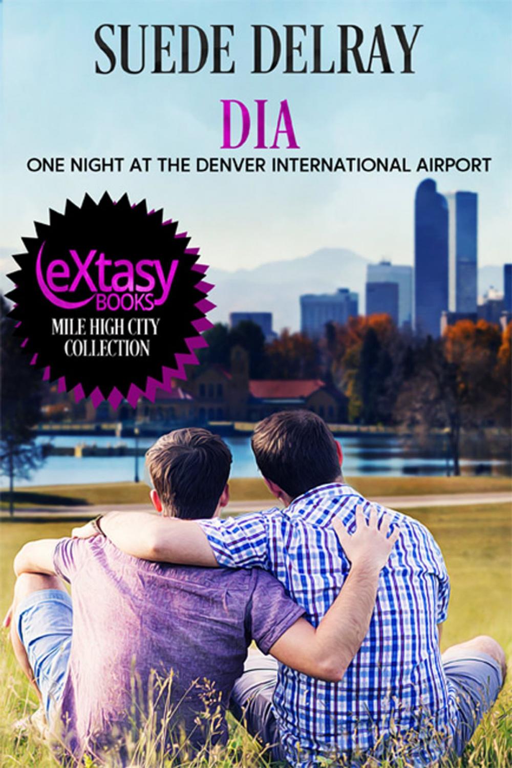 Big bigCover of DIA - One Night at the Denver International Airport