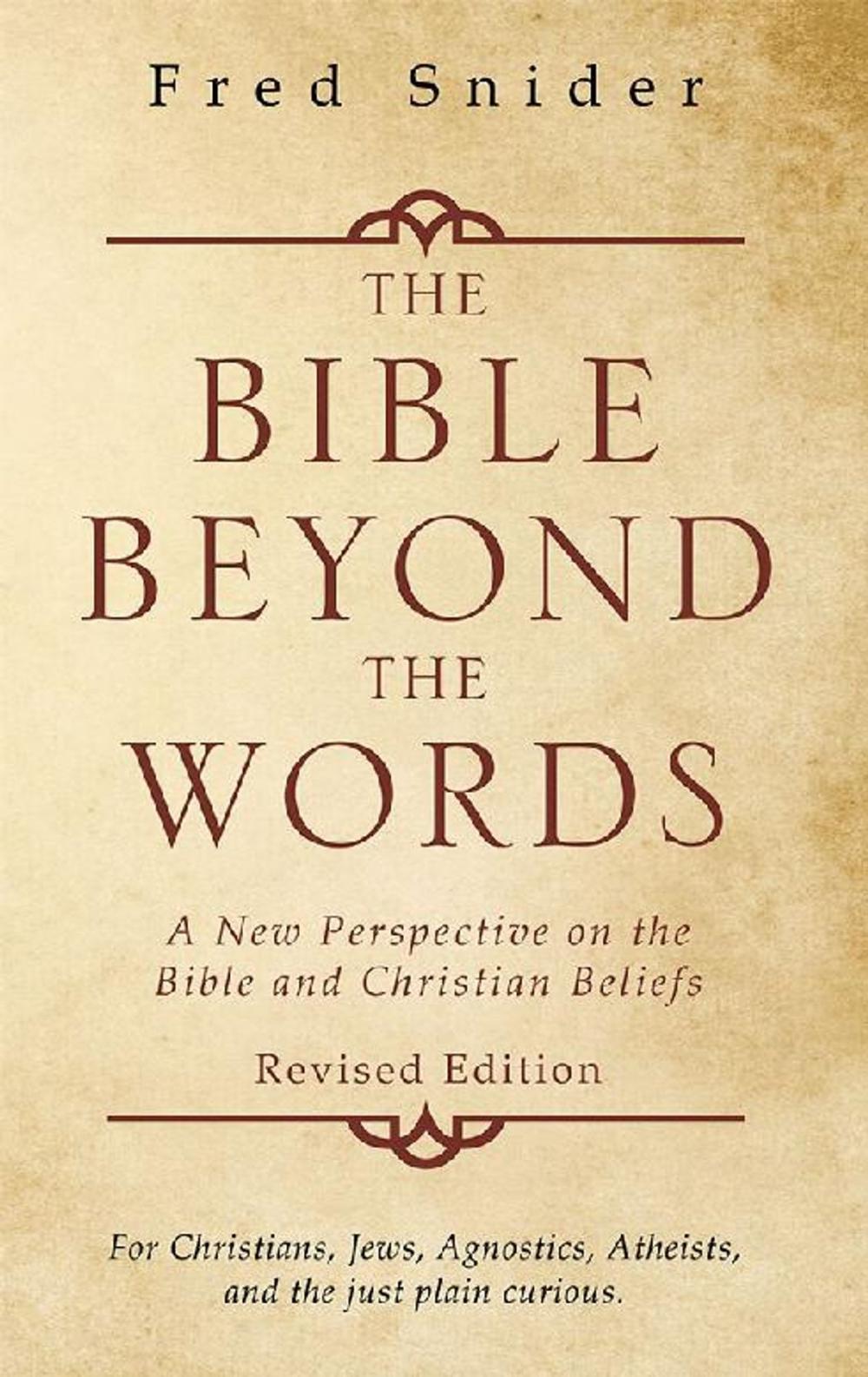 Big bigCover of The Bible Beyond the Words