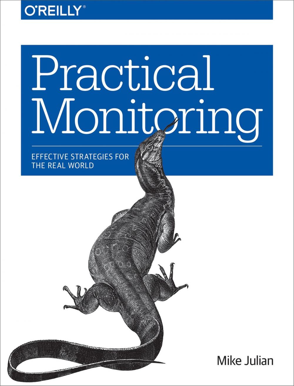 Big bigCover of Practical Monitoring