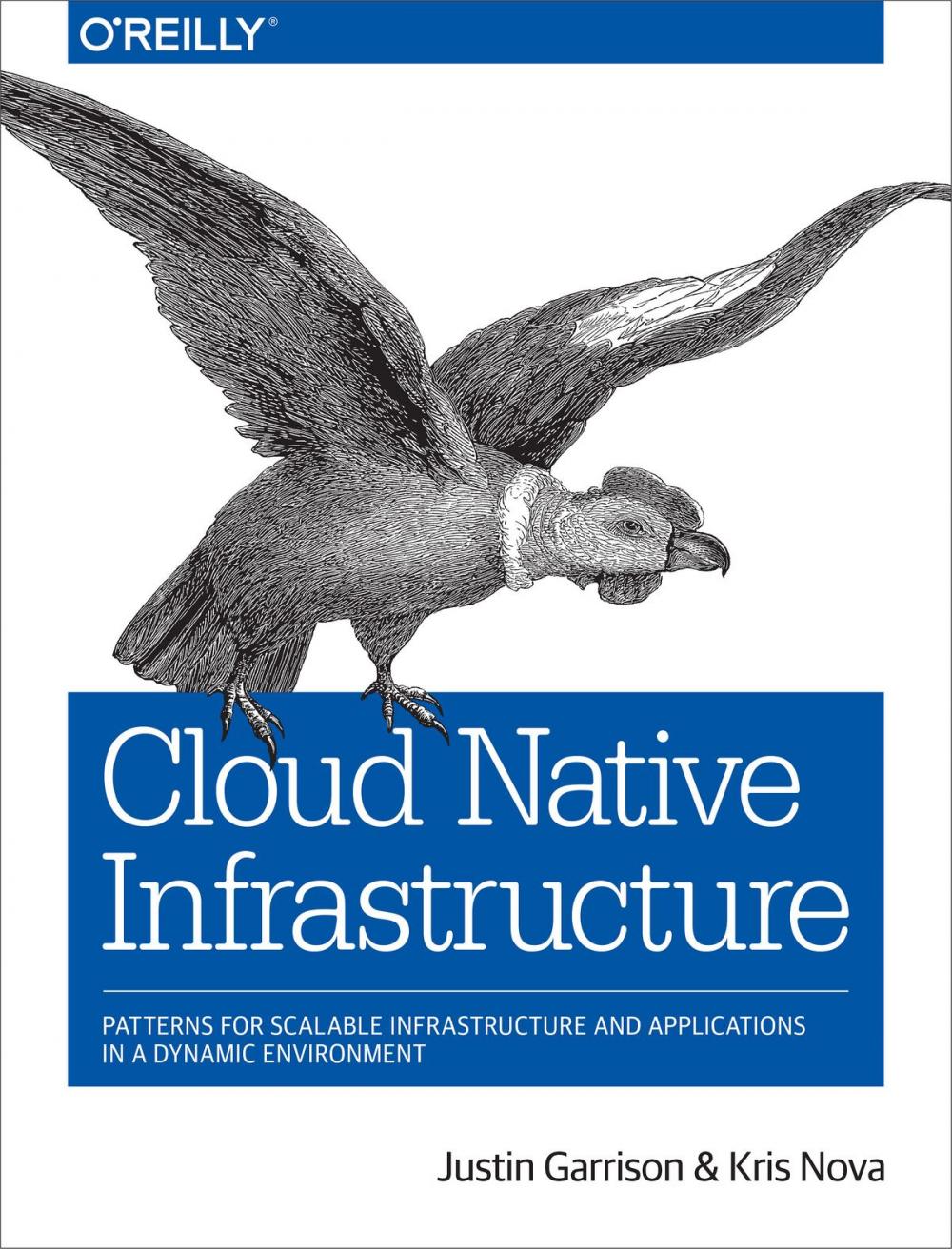 Big bigCover of Cloud Native Infrastructure