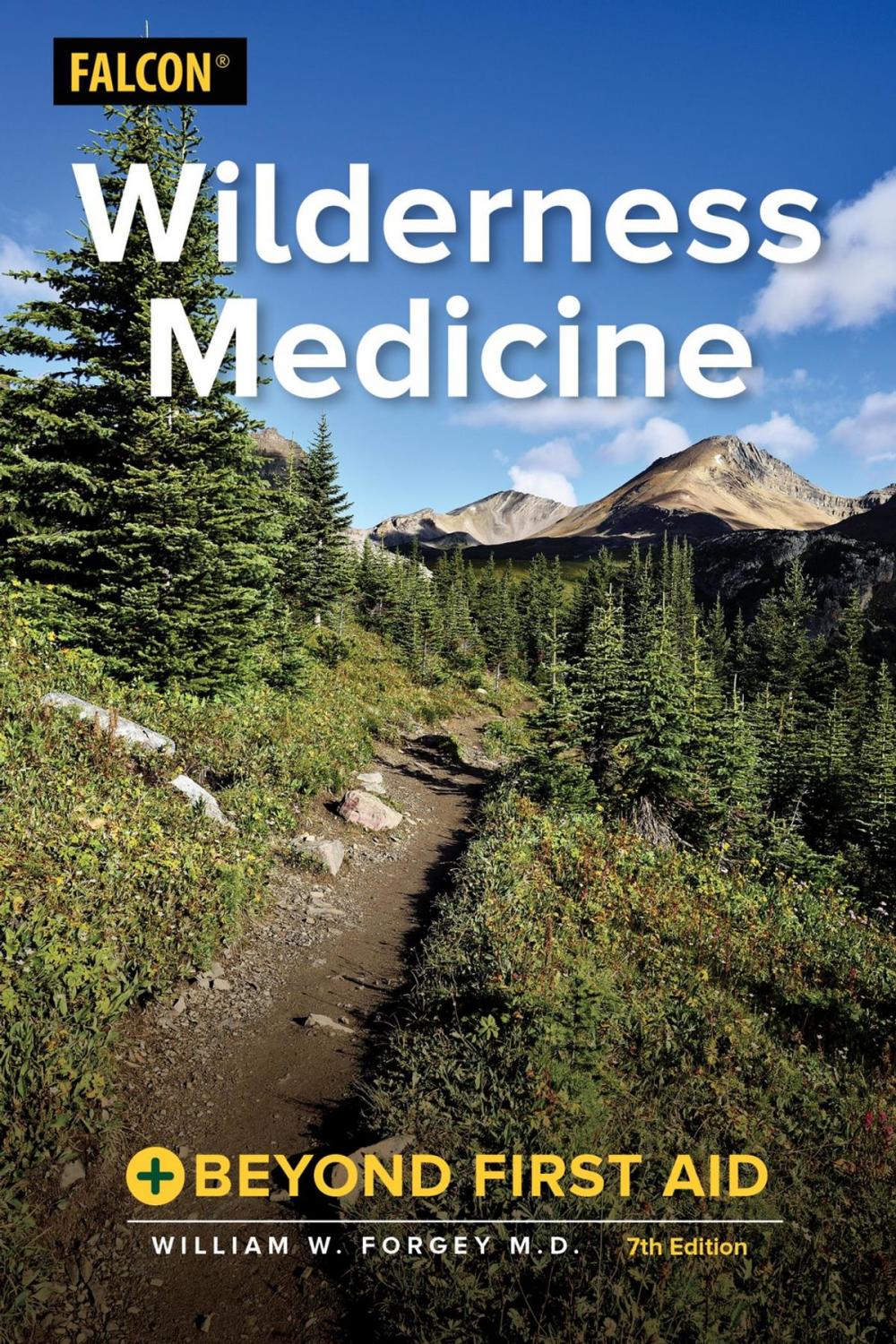 Big bigCover of Wilderness Medicine