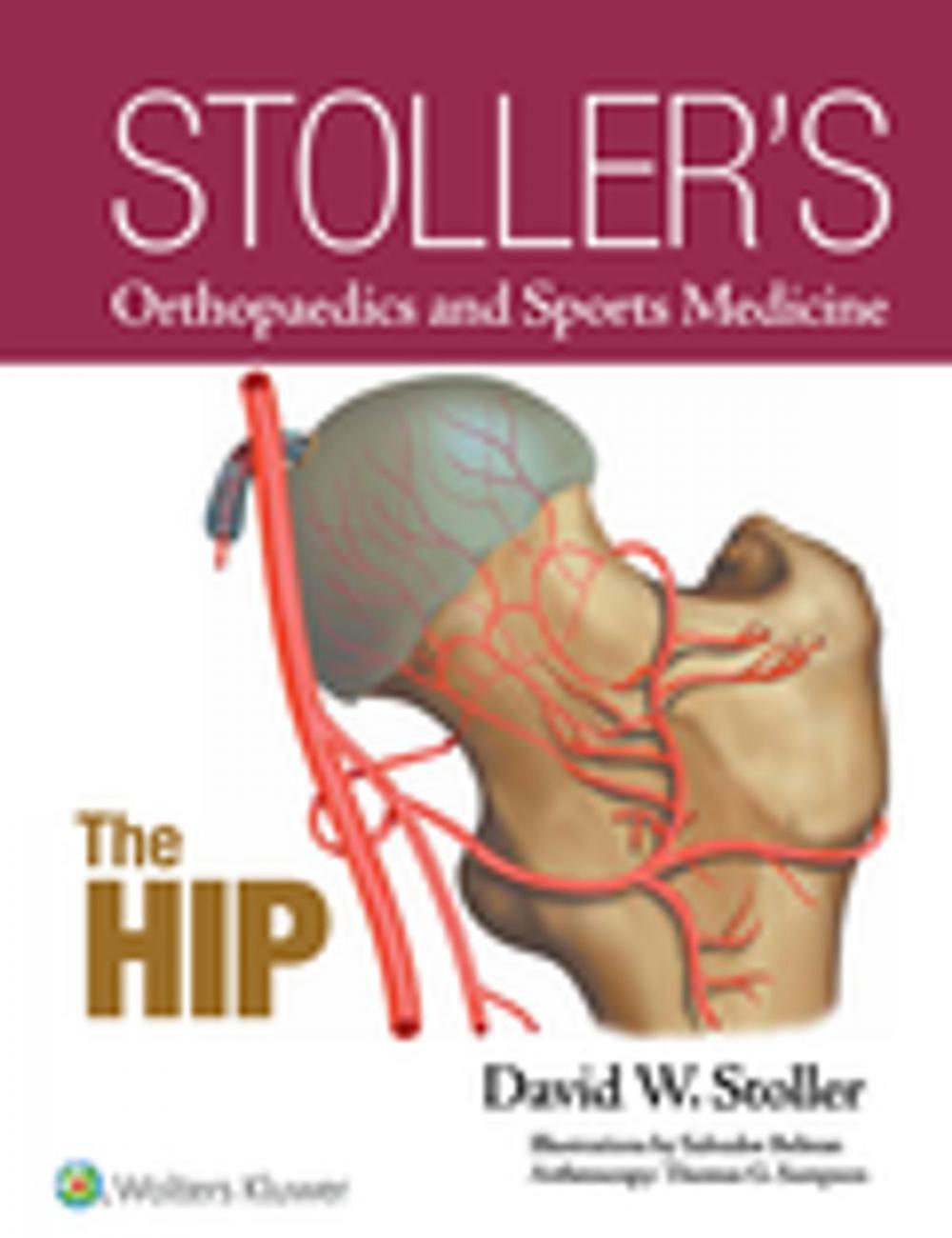 Big bigCover of Stoller's Orthopaedics and Sports Medicine: The Hip