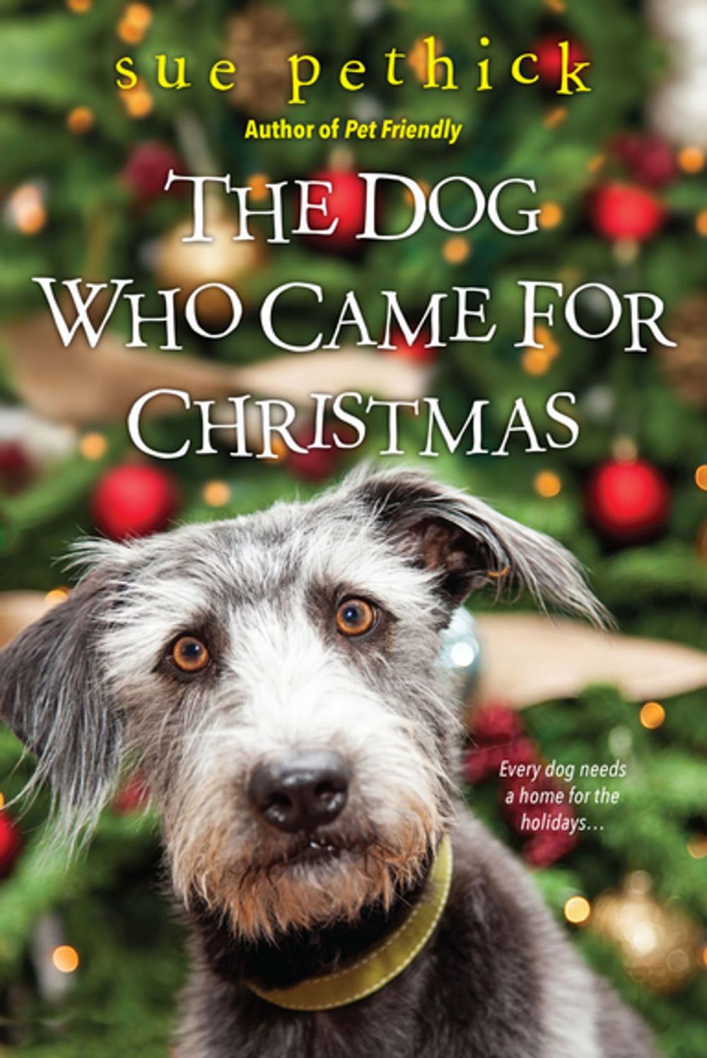 Big bigCover of The Dog Who Came for Christmas