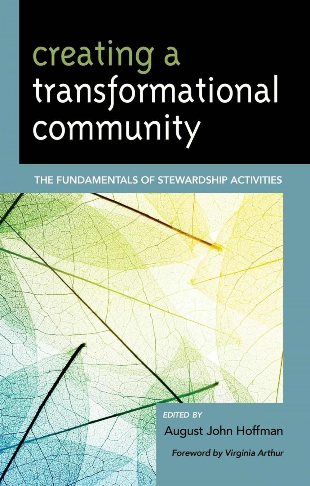 Big bigCover of Creating a Transformational Community