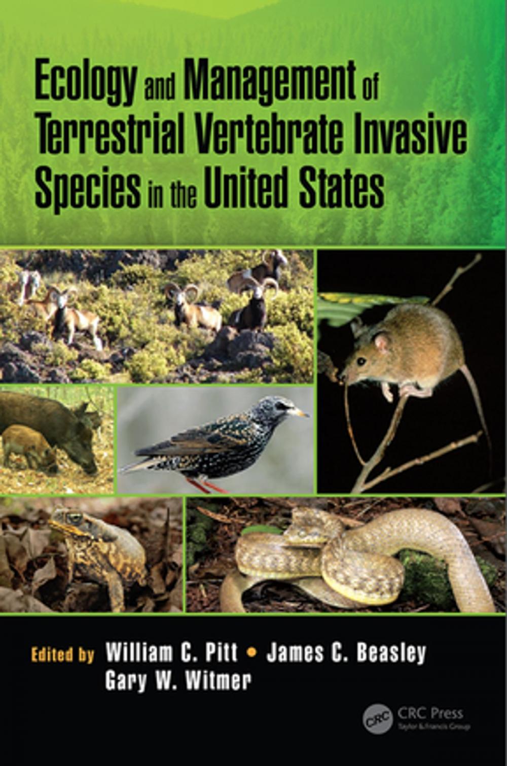 Big bigCover of Ecology and Management of Terrestrial Vertebrate Invasive Species in the United States