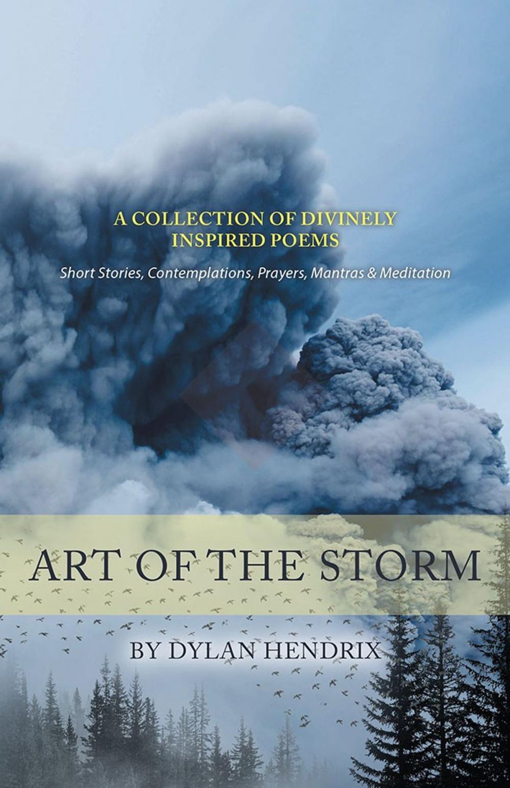 Big bigCover of Art of the Storm