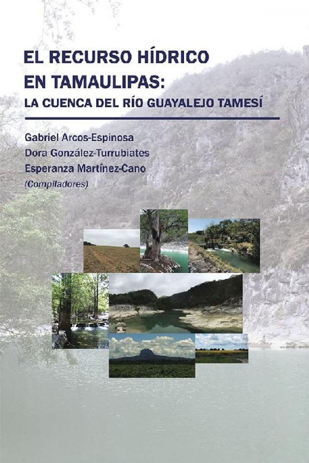 Big bigCover of El Recurso Hídrico En Tamaulipas: La Cuenca Del Río Guayalejo Tamesí