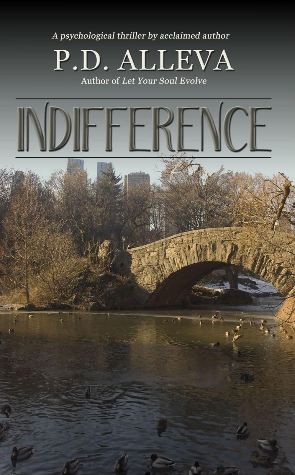 Big bigCover of Indifference