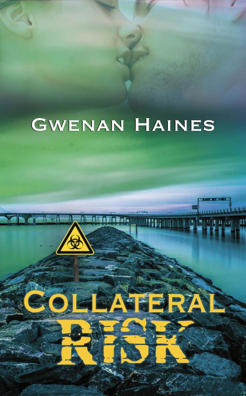 Big bigCover of Collateral Risk