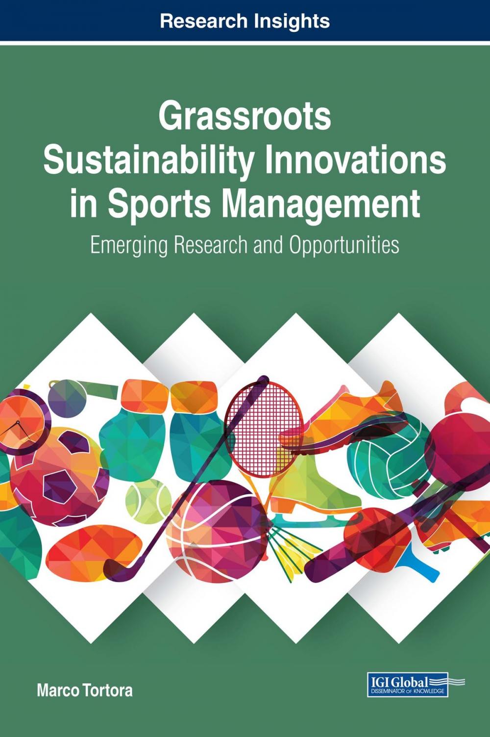 Big bigCover of Grassroots Sustainability Innovations in Sports Management