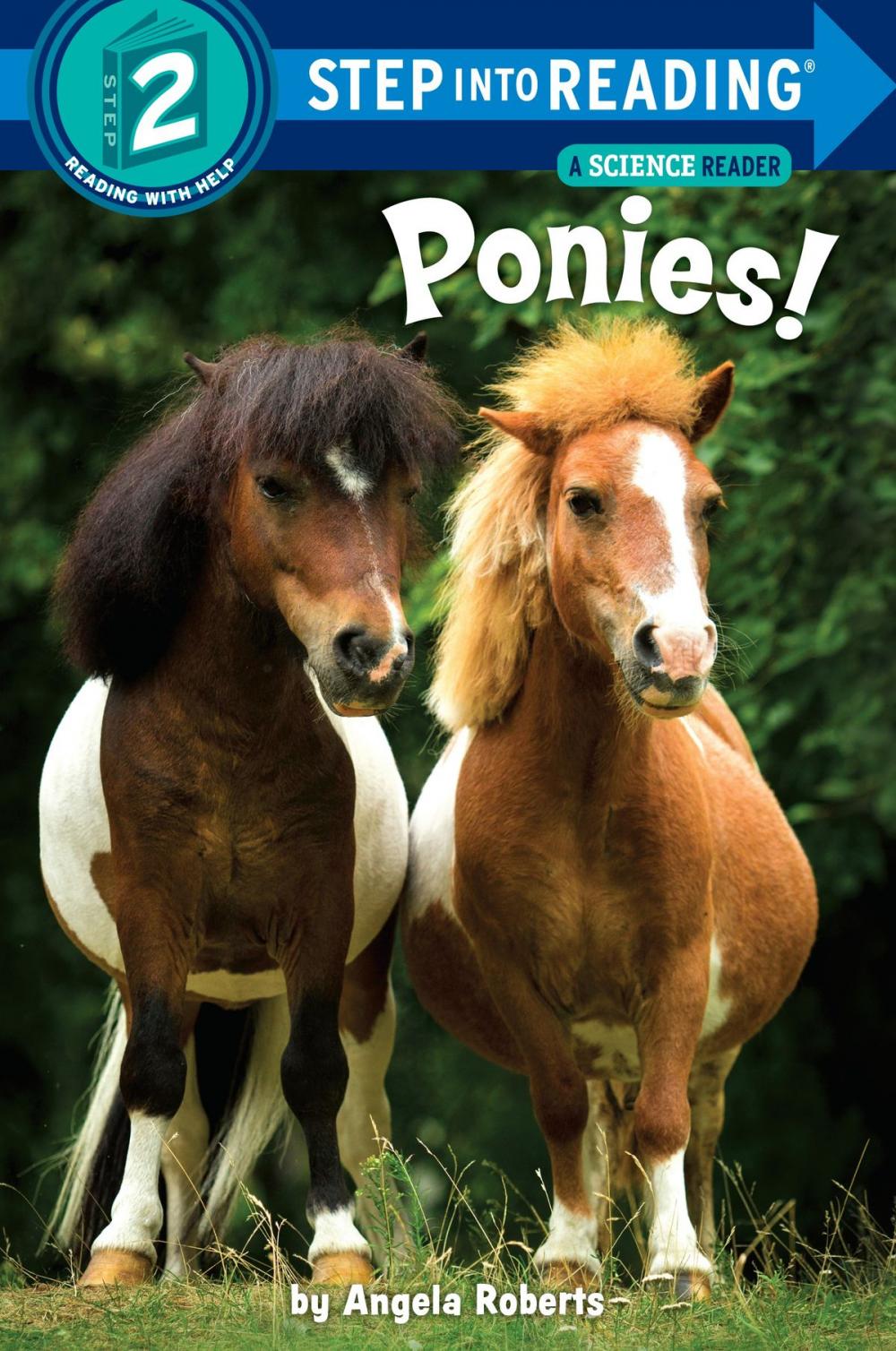 Big bigCover of Ponies!