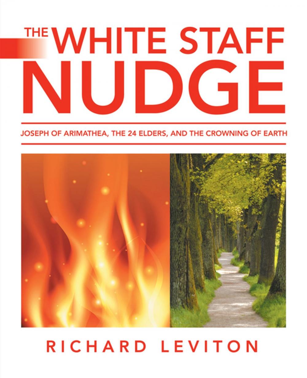 Big bigCover of The White Staff Nudge