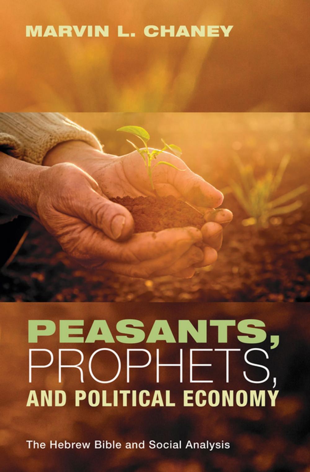 Big bigCover of Peasants, Prophets, and Political Economy