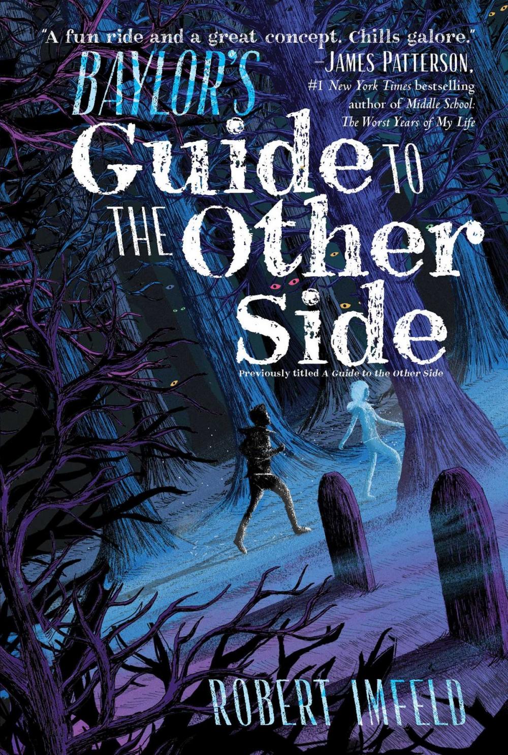 Big bigCover of Baylor's Guide to the Other Side