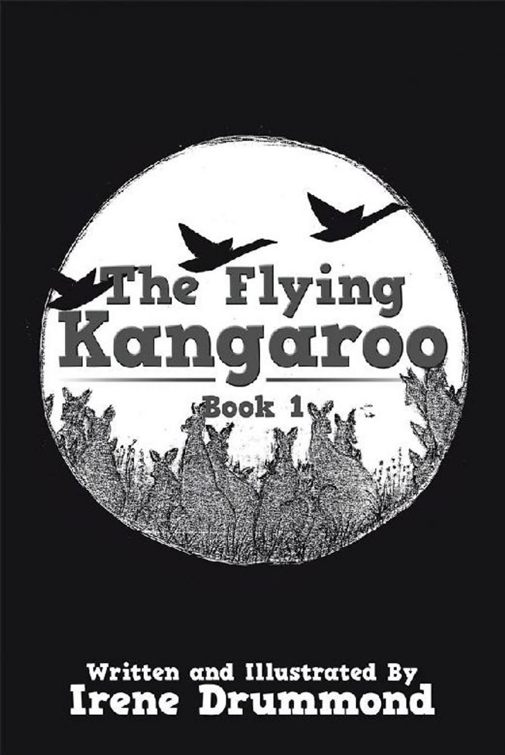 Big bigCover of The Flying Kangaroo