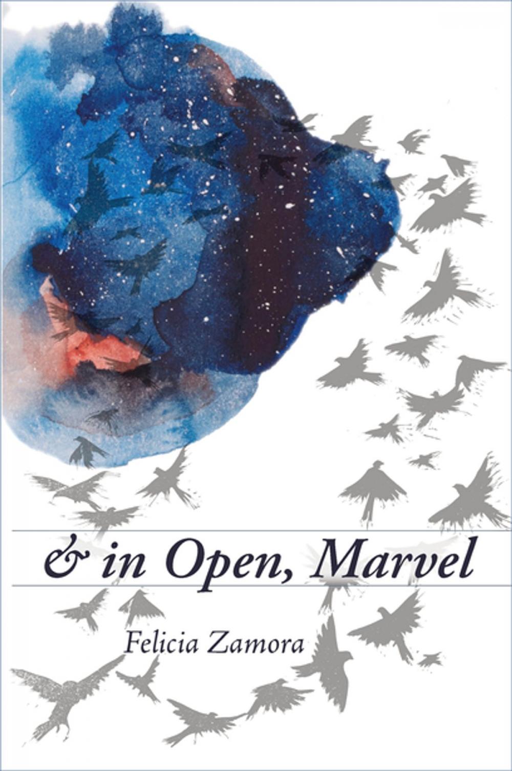 Big bigCover of & in Open, Marvel