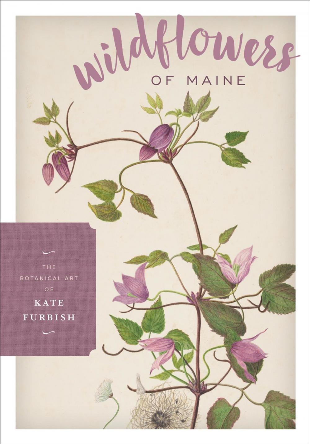 Big bigCover of Wildflowers of Maine