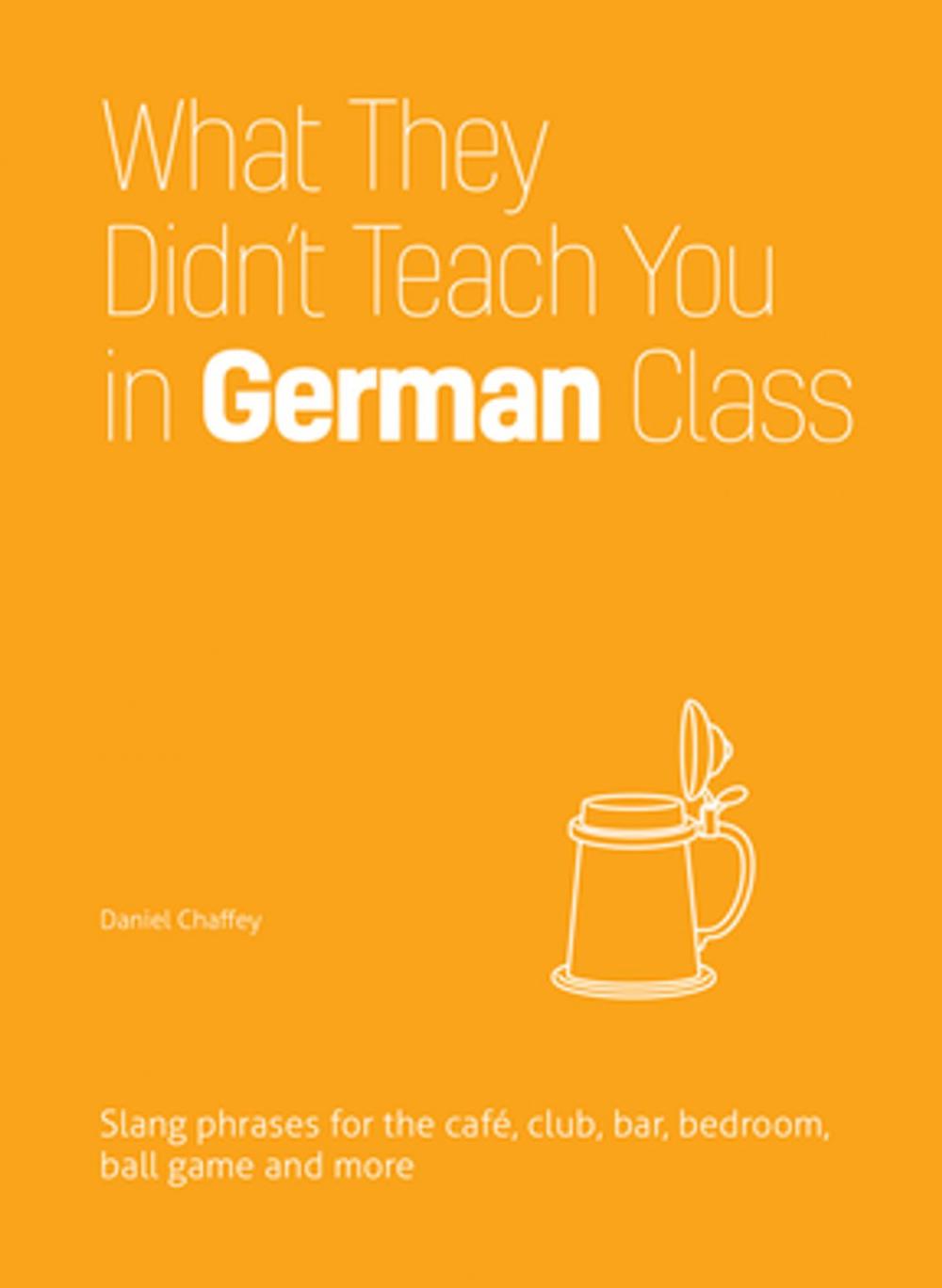 Big bigCover of What They Didn't Teach You in German Class