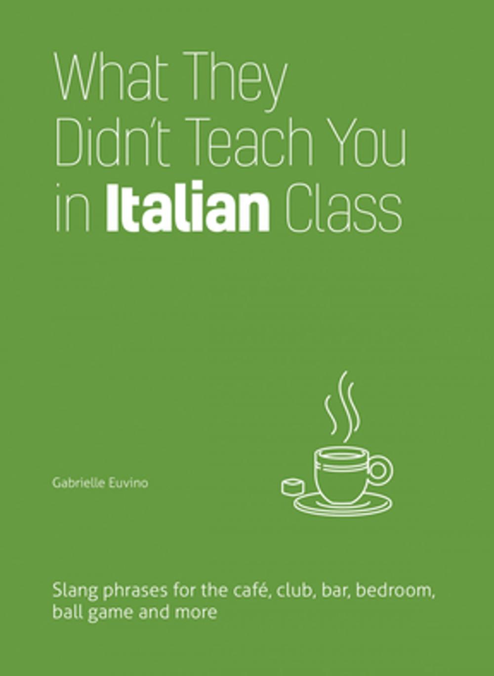 Big bigCover of What They Didn't Teach You in Italian Class