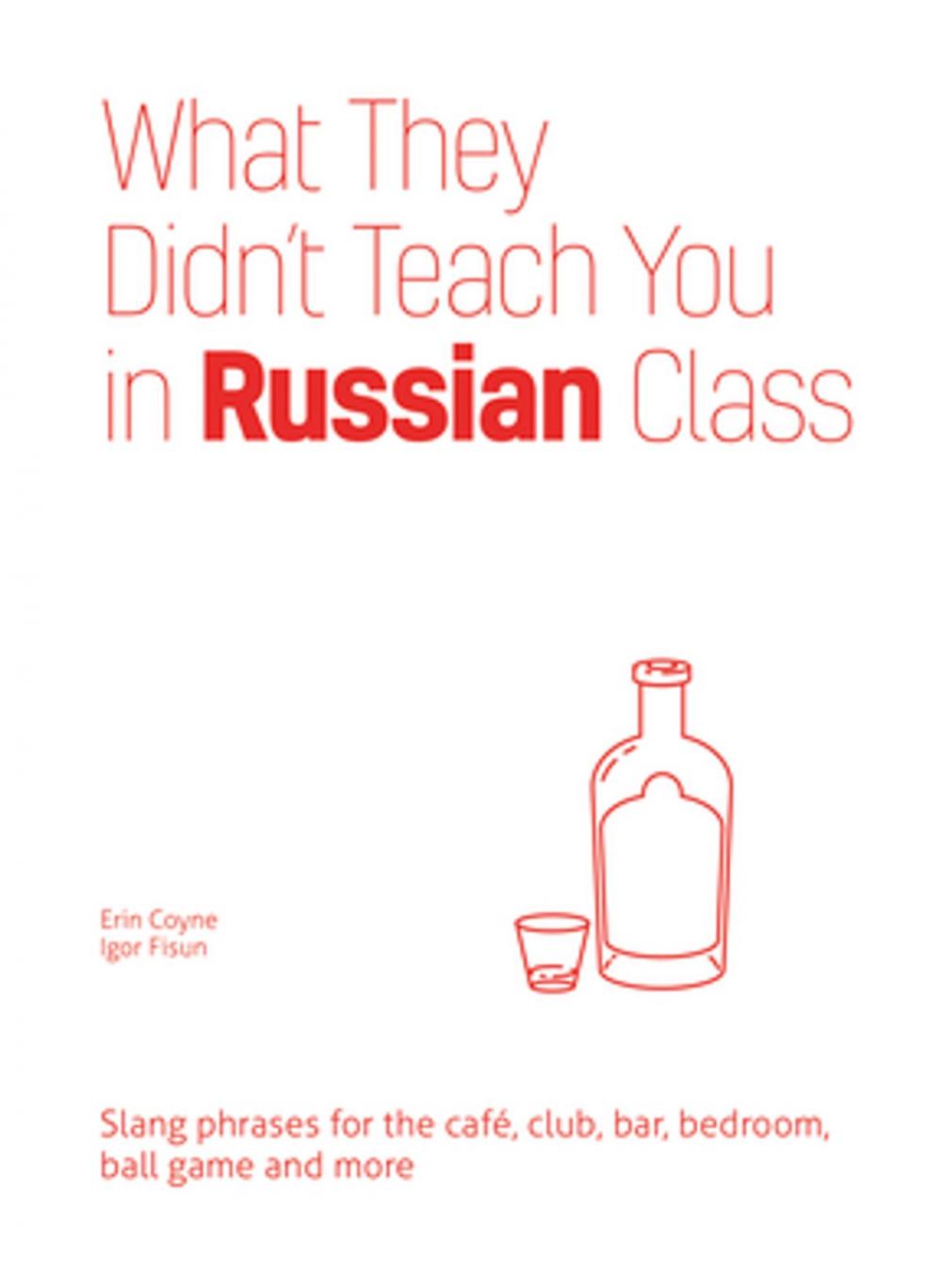 Big bigCover of What They Didn't Teach You in Russian Class