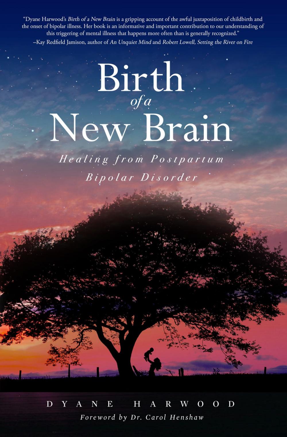 Big bigCover of Birth of a New Brain