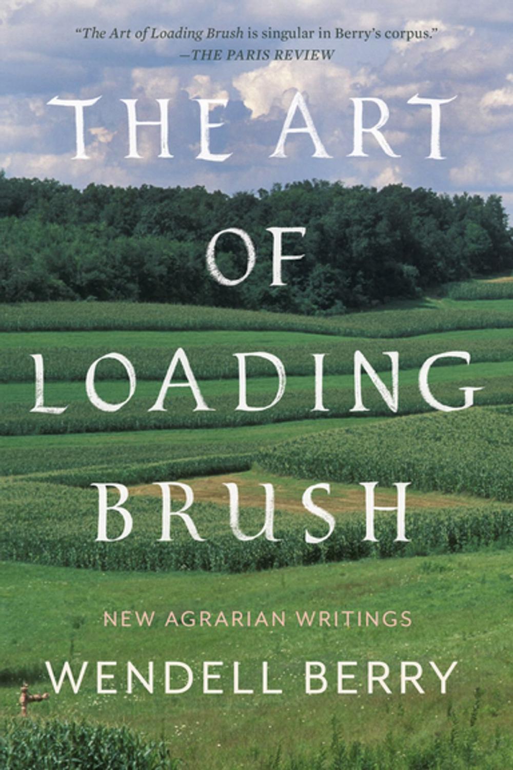 Big bigCover of The Art of Loading Brush