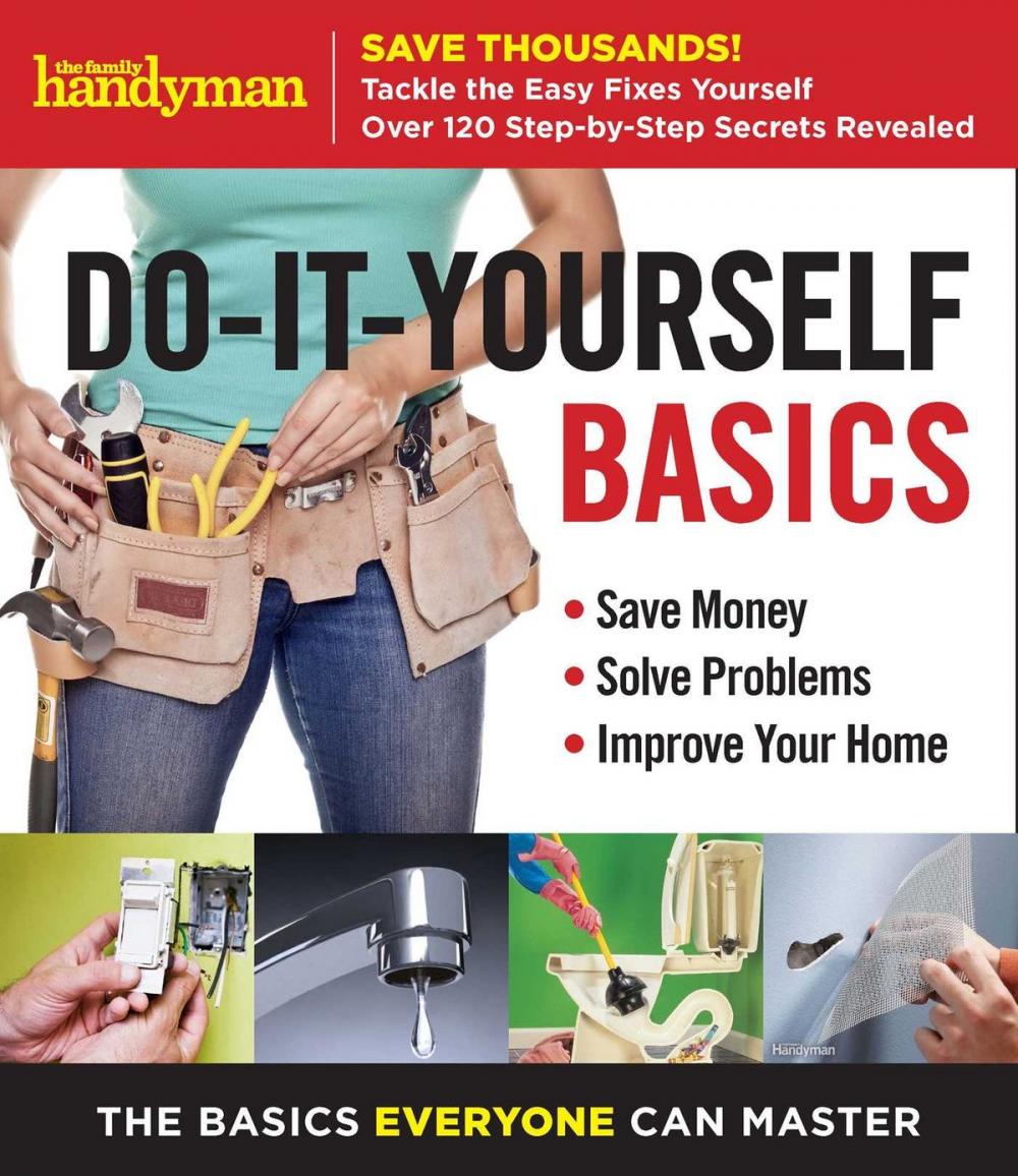 Big bigCover of Family Handyman Do-It-Yourself Basics