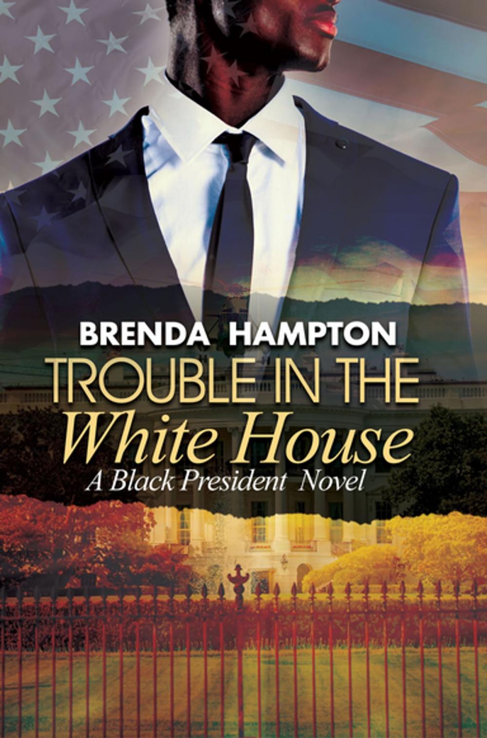 Big bigCover of Trouble in the White House