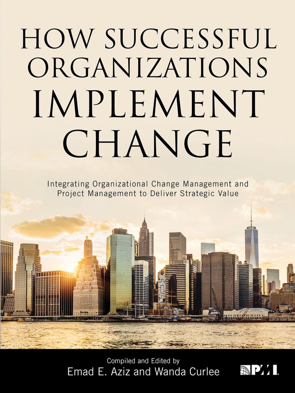 Big bigCover of How Successful Organizations Implement Change