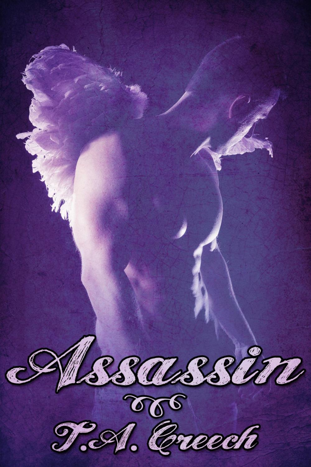 Big bigCover of Assassin