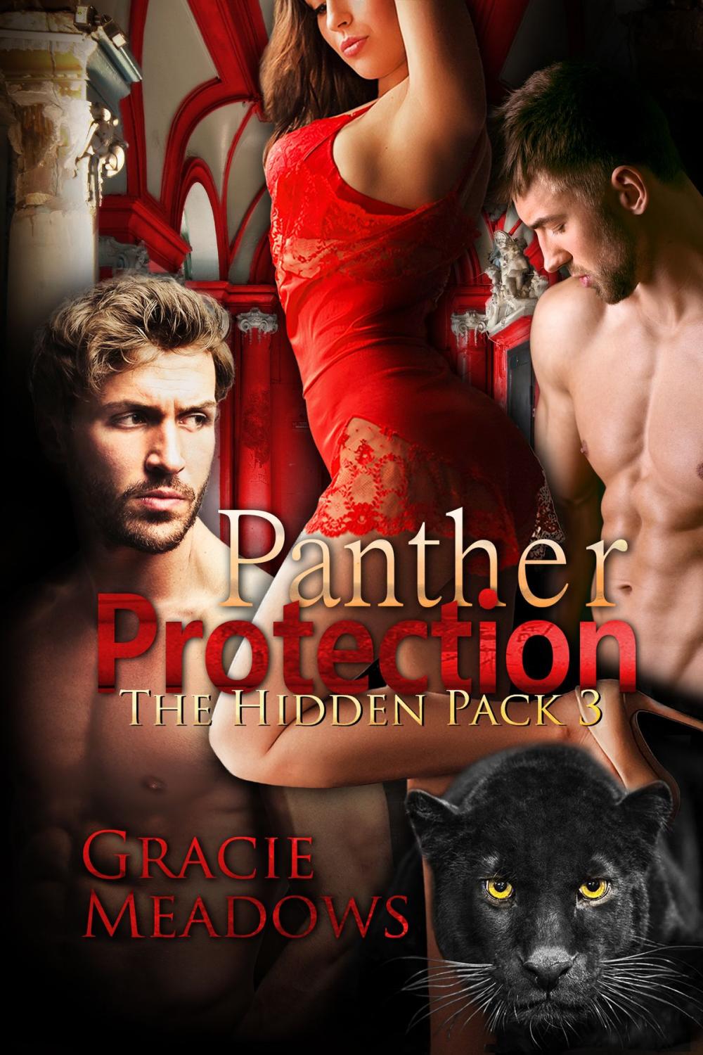 Big bigCover of Panther Protection (Hidden Pack 3)