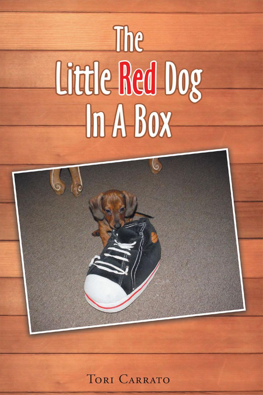 Big bigCover of The Little Red Dog In A Box