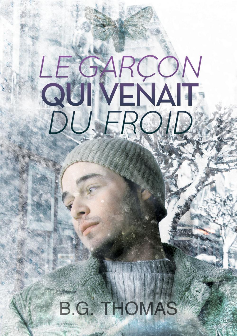 Big bigCover of Le garçon qui venait du froid