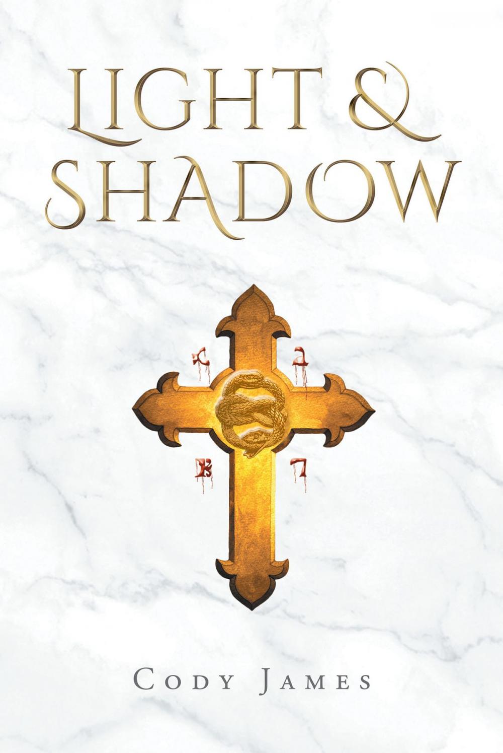 Big bigCover of Light & Shadow