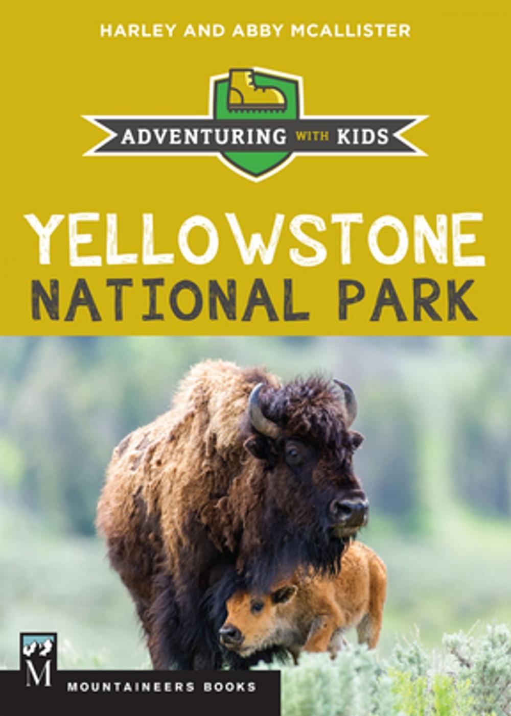 Big bigCover of Yellowstone National Park