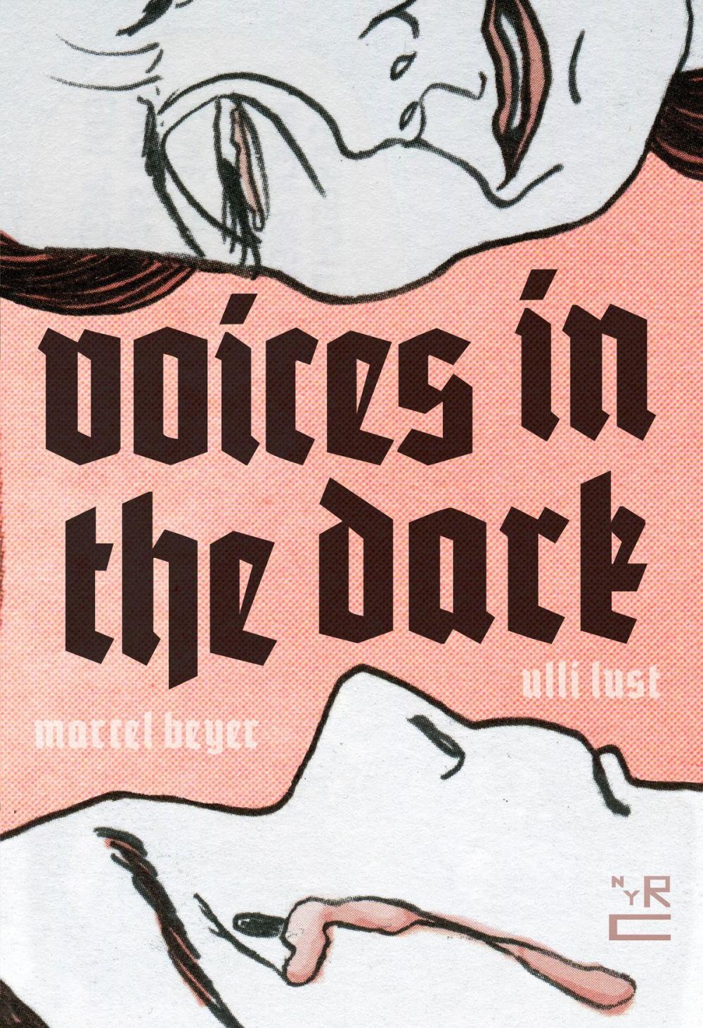 Big bigCover of Voices in the Dark