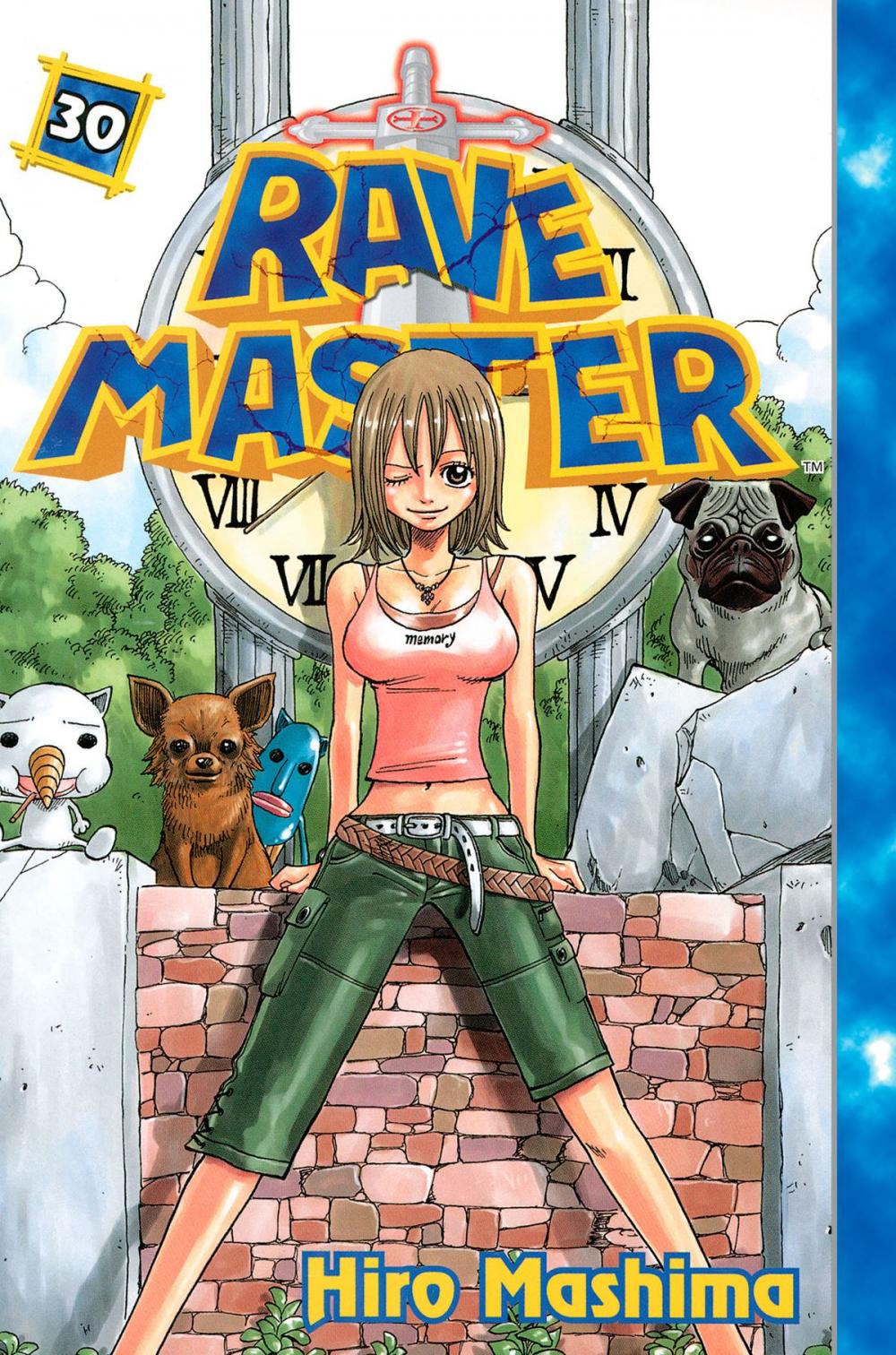 Big bigCover of Rave Master