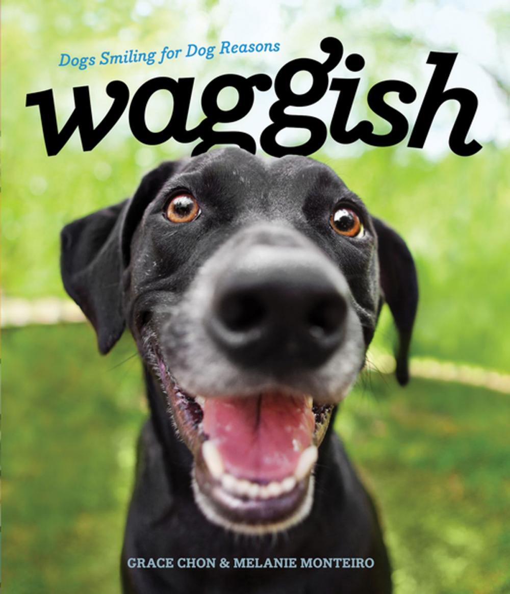 Big bigCover of Waggish: Dogs Smiling for Dog Reasons