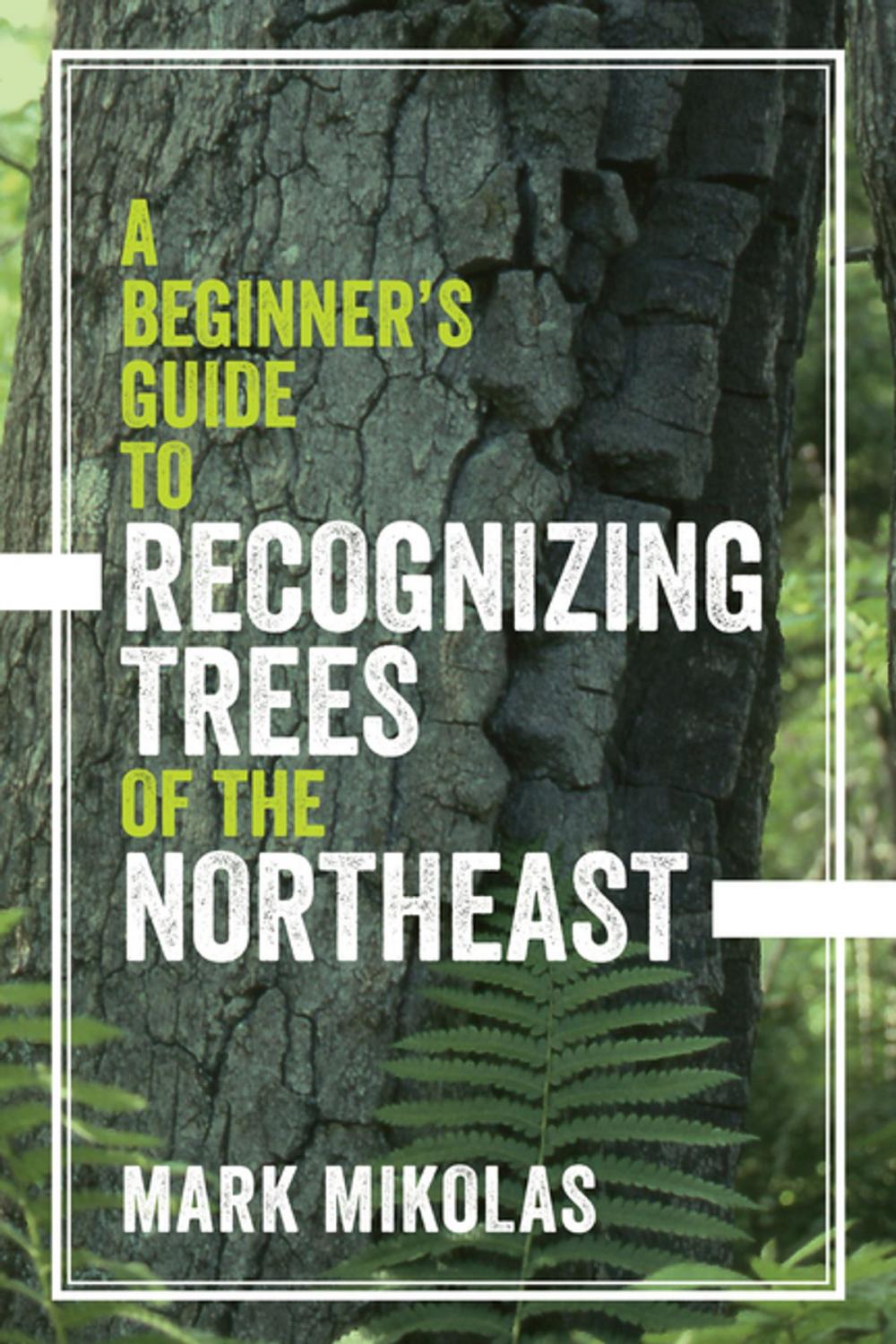 Big bigCover of A Beginner's Guide to Recognizing Trees of the Northeast