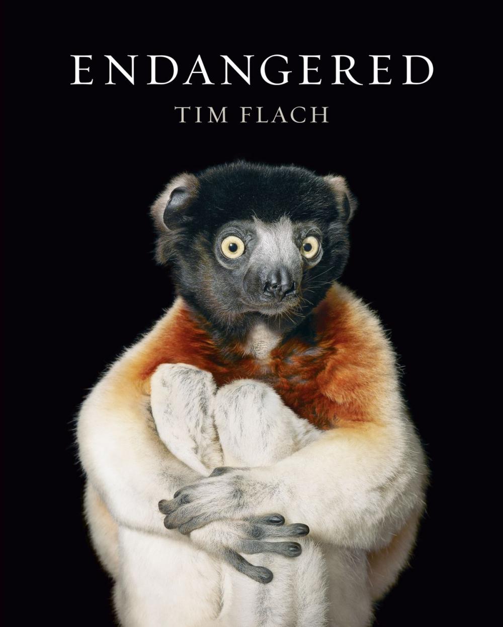 Big bigCover of Endangered