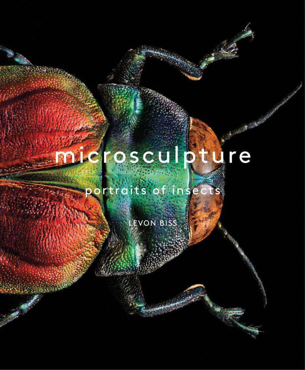 Big bigCover of Microsculpture