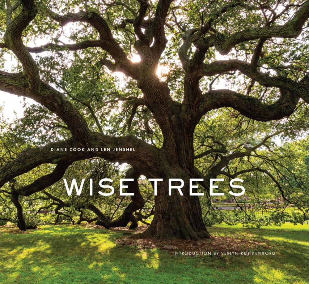 Big bigCover of Wise Trees