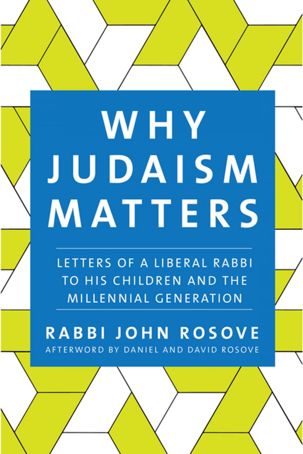 Big bigCover of Why Judaism Matters