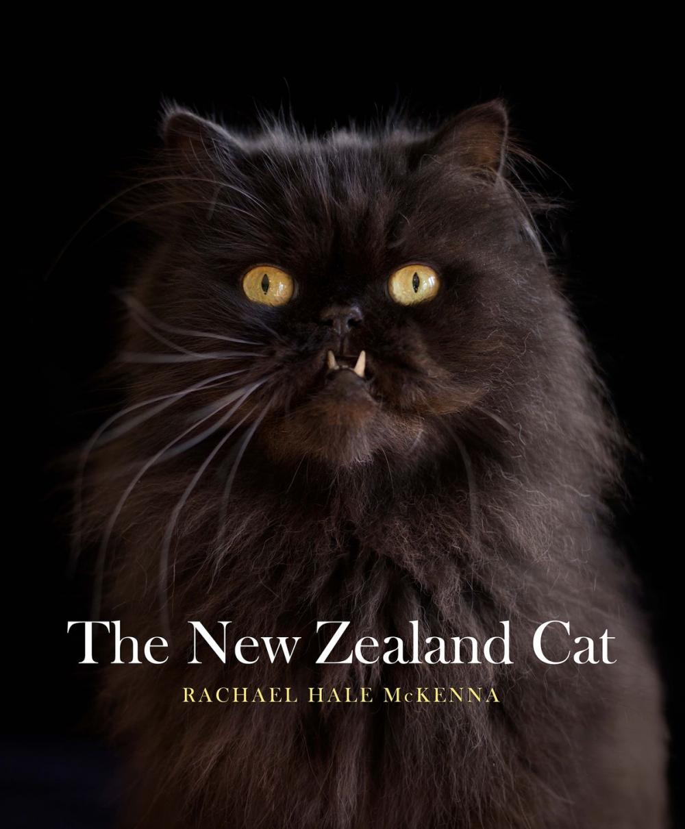 Big bigCover of The New Zealand Cat