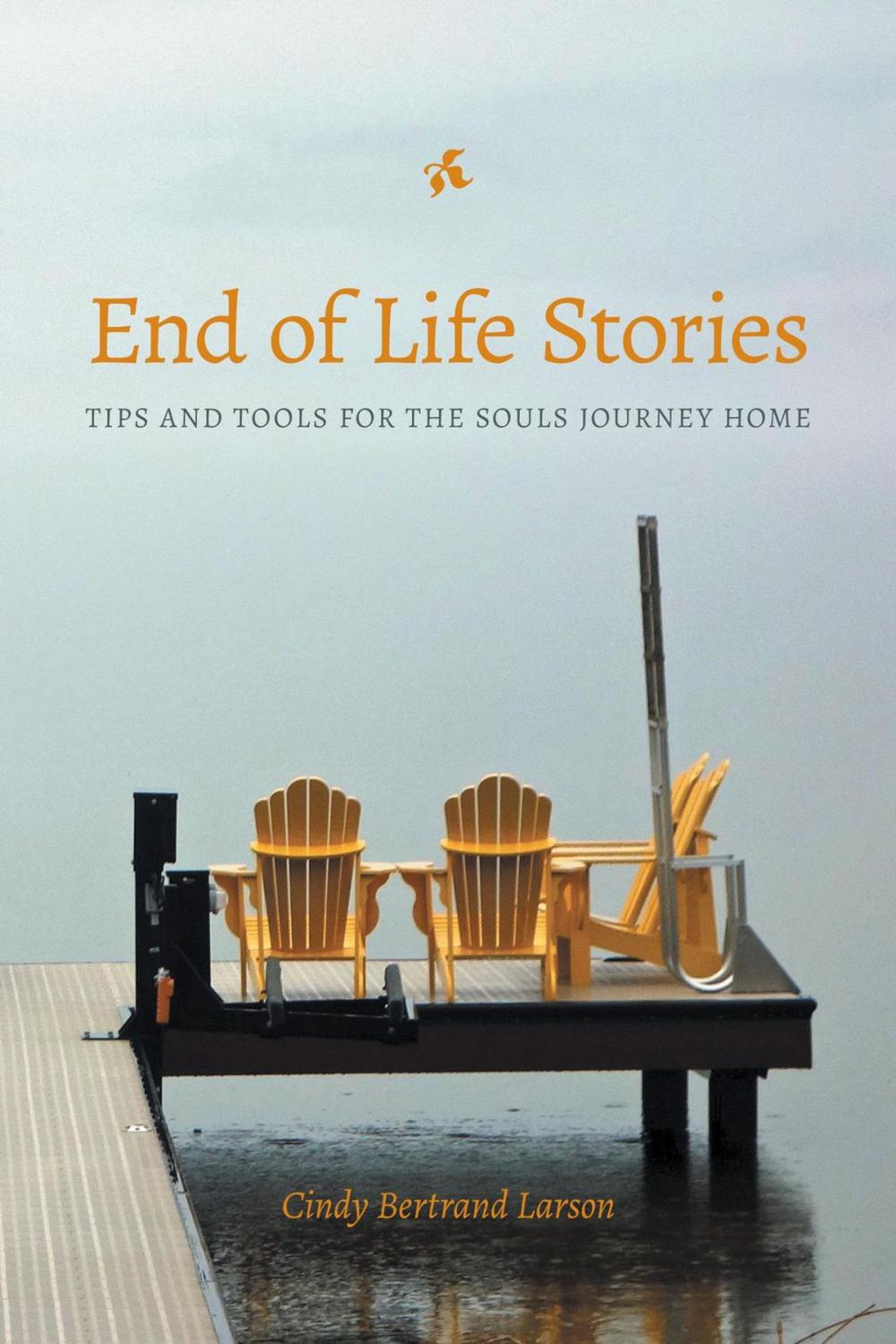 Big bigCover of End of Life Stories