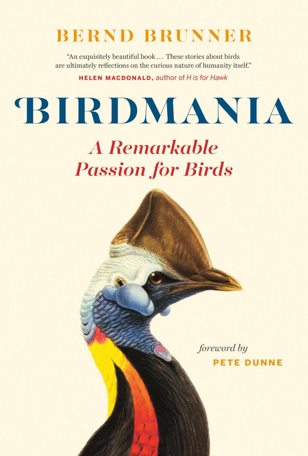 Big bigCover of Birdmania