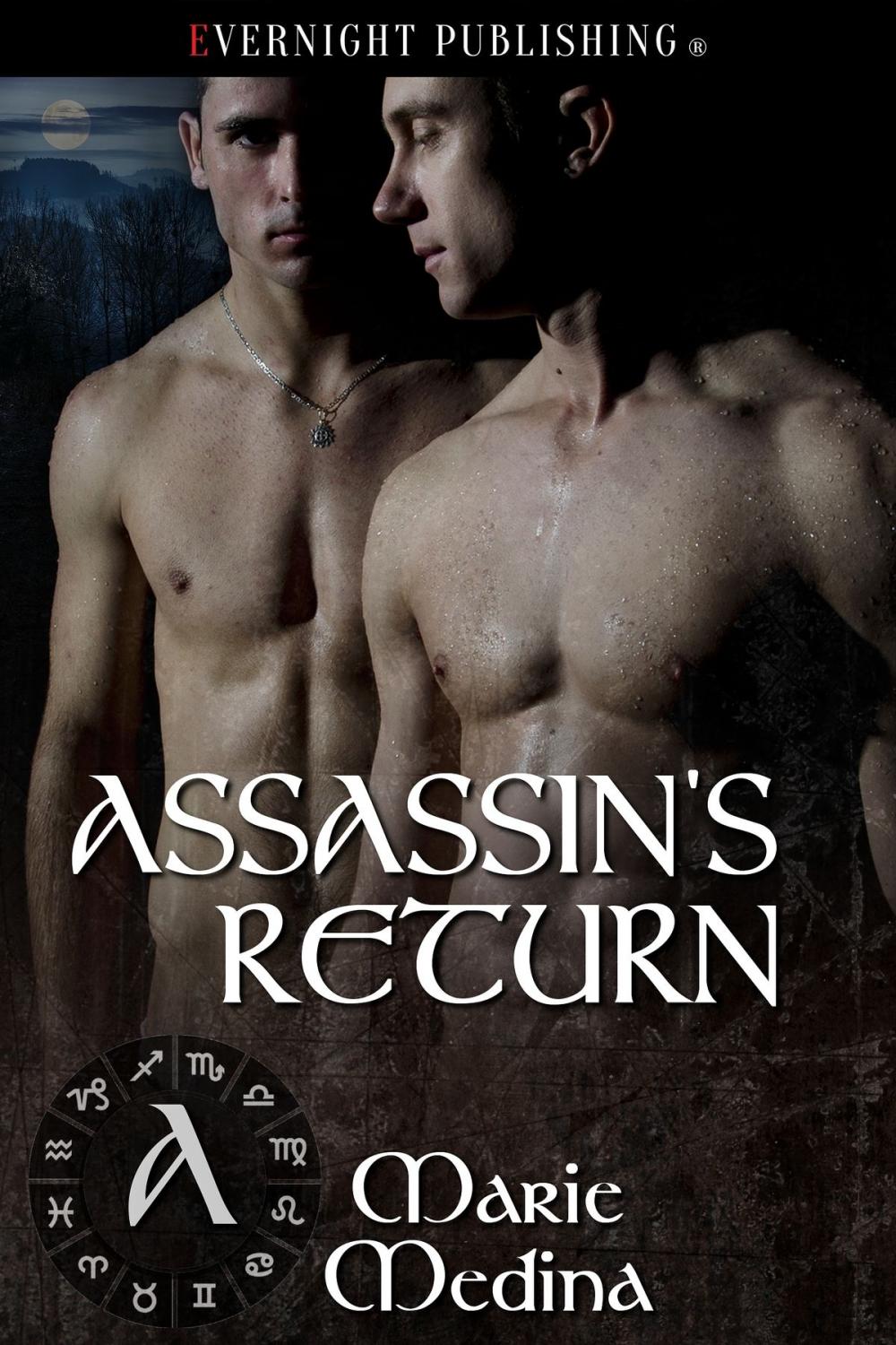 Big bigCover of Assassin's Return