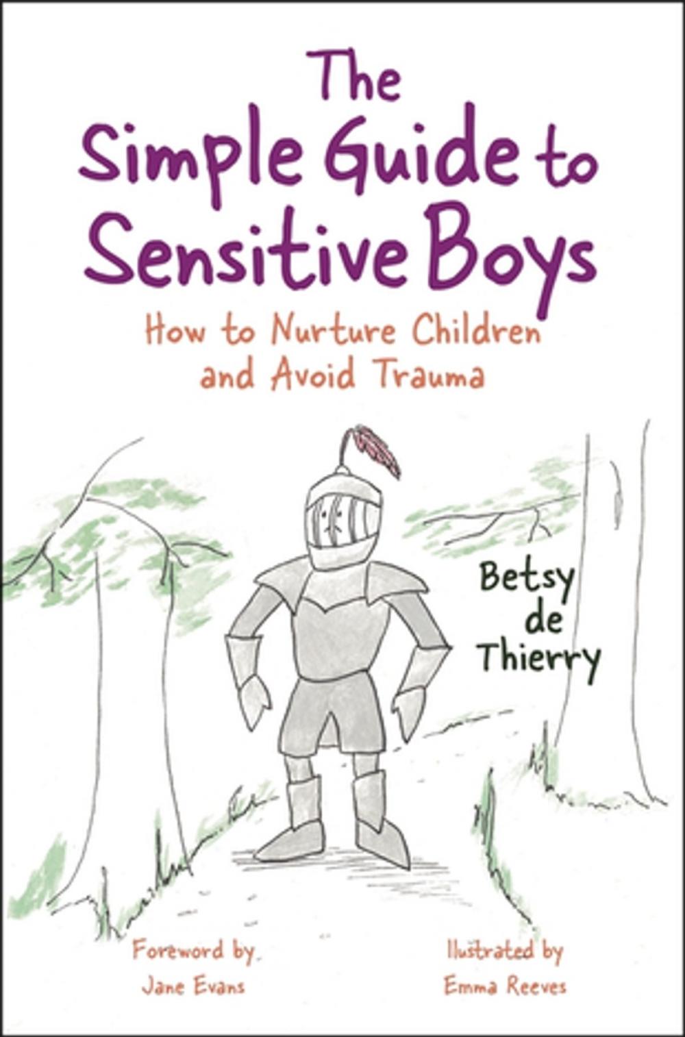 Big bigCover of The Simple Guide to Sensitive Boys